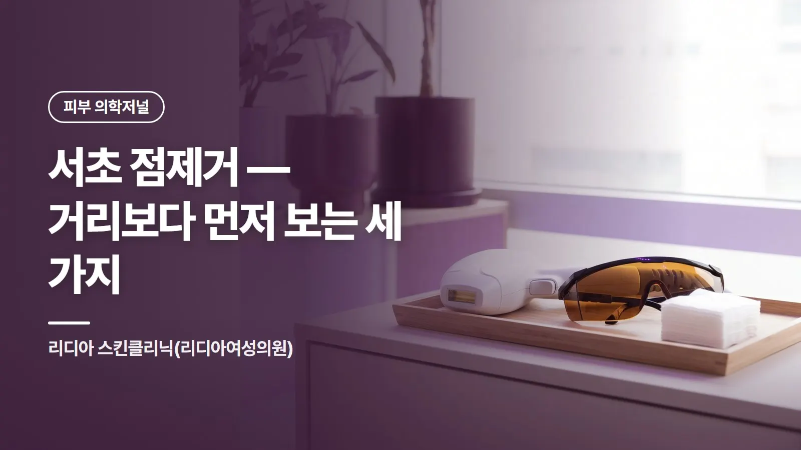 서초 점제거 — 거리보다 먼저 보는 세 가지